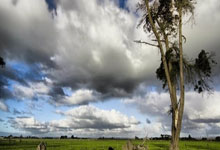 天涯论坛公务员考试：一场全民国考的网络备考江湖！